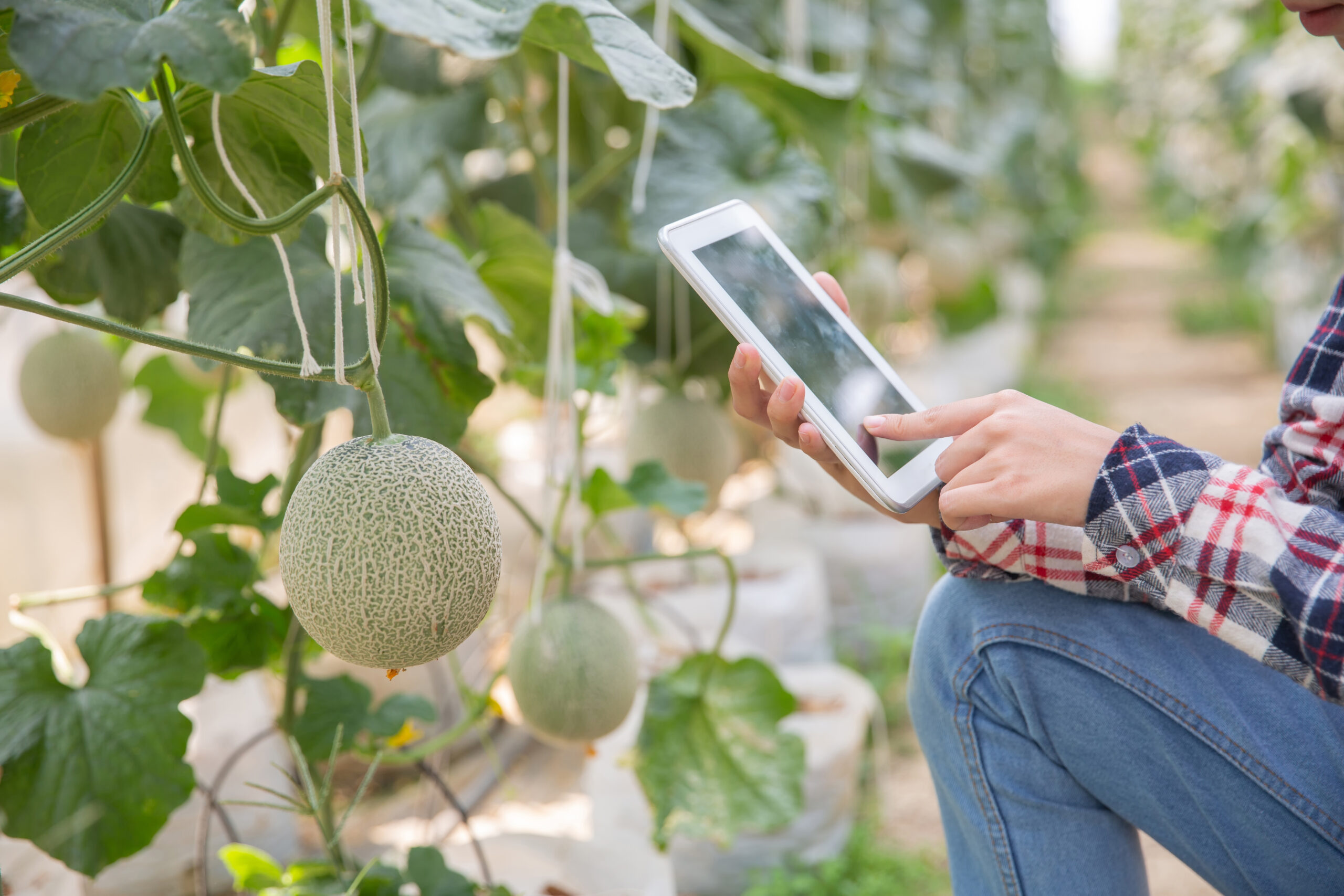 Middleware use case in agriculture industry